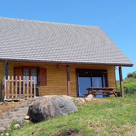 Chalet Sancy Saint-Genes-Champespe Ngoại thất bức ảnh